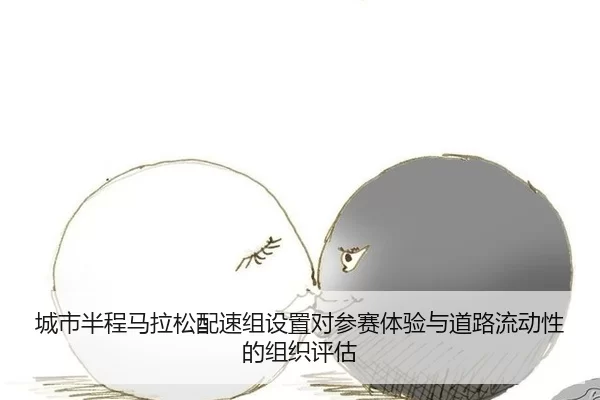 cheng-shi-ban-cheng-ma-la-song-pei-su-zu-she-zhi-dui-can-sai-ti-yan-yu-dao-lu-liu-dong-xing-de-zu-zhi-ping-gu-3-342.jpg
